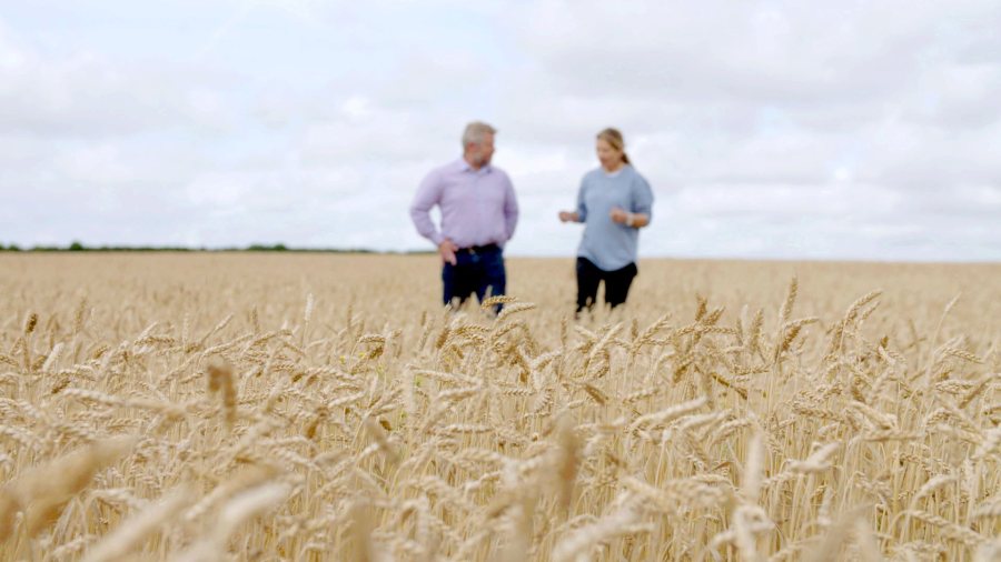 Organic arable farming saw a 7% increase in 2020, Defra's figures show (Photo: Soil Association)