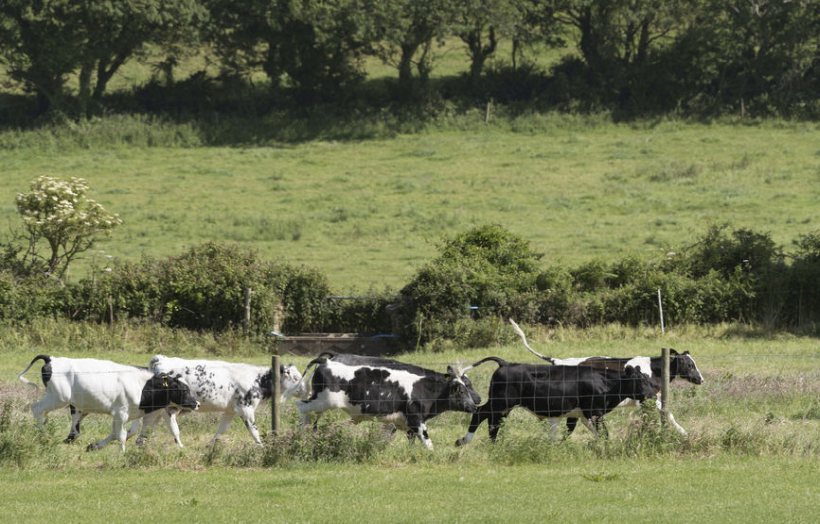 Farmers wanting to leave the industry will be offered a lump sum payment, Defra recently confirmed