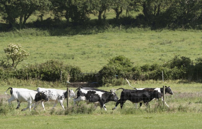 Farmers wanting to leave the industry will be offered a lump sum payment, Defra recently confirmed