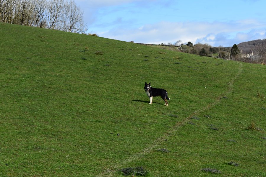 Small family farms are leading the way when it comes to being environmentally friendly