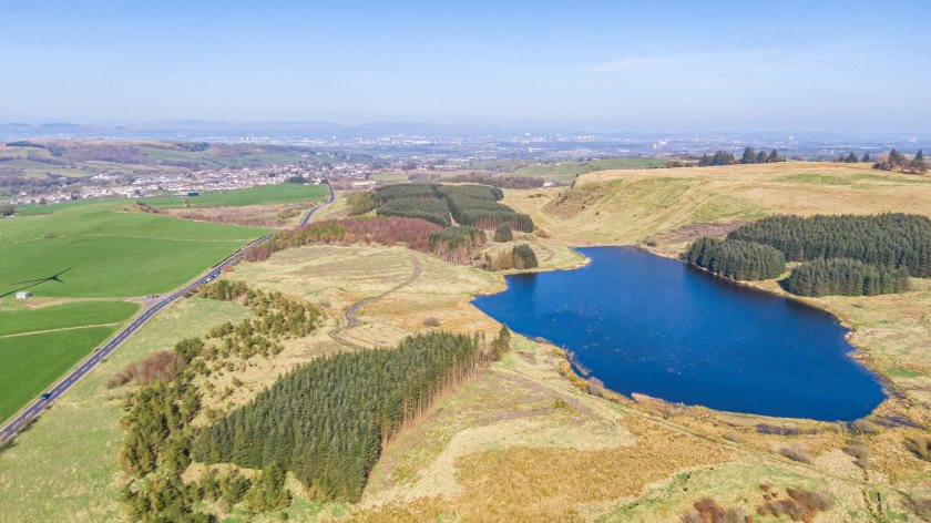 Craig O’Neilston presents an opportunity to acquire a commercial forestry investment (Photo: Galbraith)