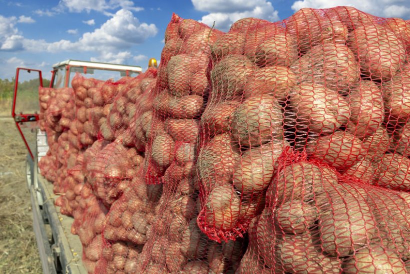 Potato growers who have been affected by the pandemic will be issued the funds