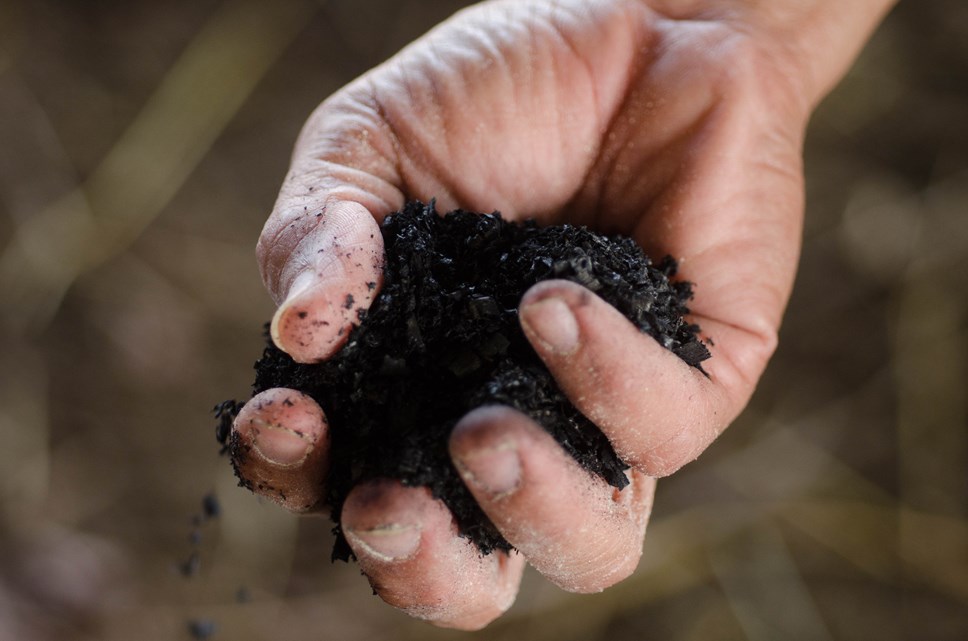 The project will test the feasibility of using biochar commercially in agriculture