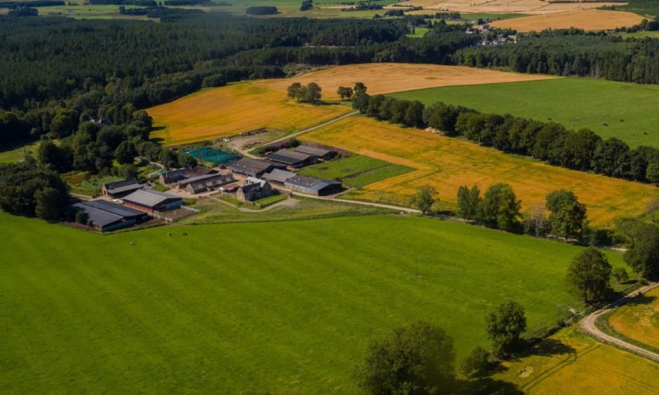 The land at Blelack is farmed around the needs of the cattle unit (Photo: Savills)