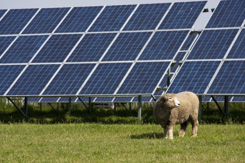 With farmland making up 70% of the UK’s land area, the farming sector has a crucial role to play