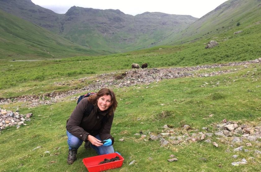 Wiltshire farmer Sally-Ann runs a project on her farm to revive its dung beetle population