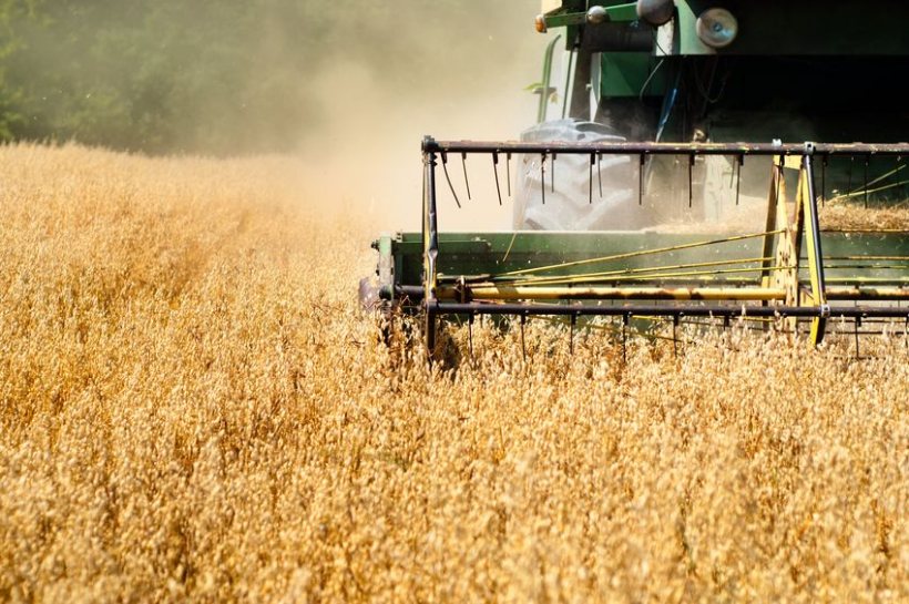 Harvest is one of the busiest periods in the British farming calendar