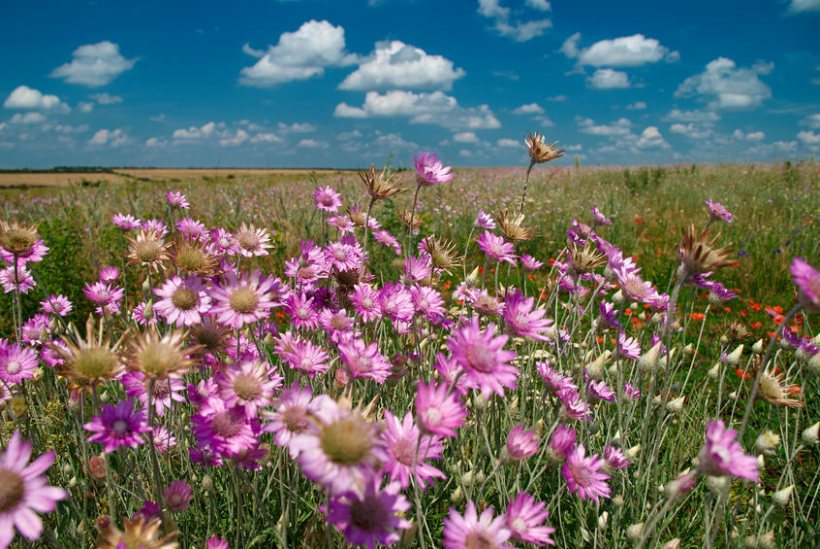 The new software helps farmers capture the value of their natural capital