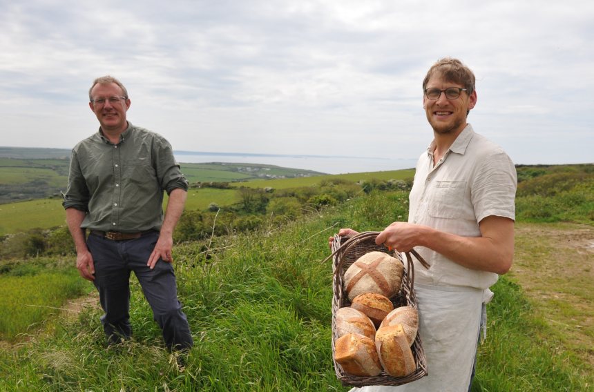 Farmers in Pembrokeshire are trialling ancient grains and heritage wheat varieties