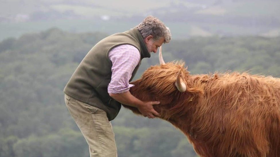 Cameron Farquharson has highlighted his 'devastation' after his pregnant Highland cow was killed by dogs