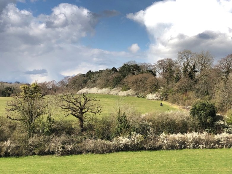 Healthy hedgerows are seen as a significant asset to farmers and land managers