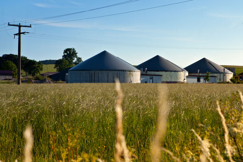 The land-based sector in NI is already producing enough renewable energy to provide power to 150,000 homes