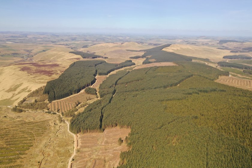 The sale comes at a time of continued buoyancy in the commercial forestry sector