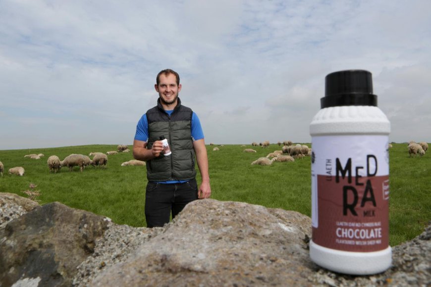 Huw Jones is among a growing number of Welsh farmers joining the burgeoning dairy sheep sector