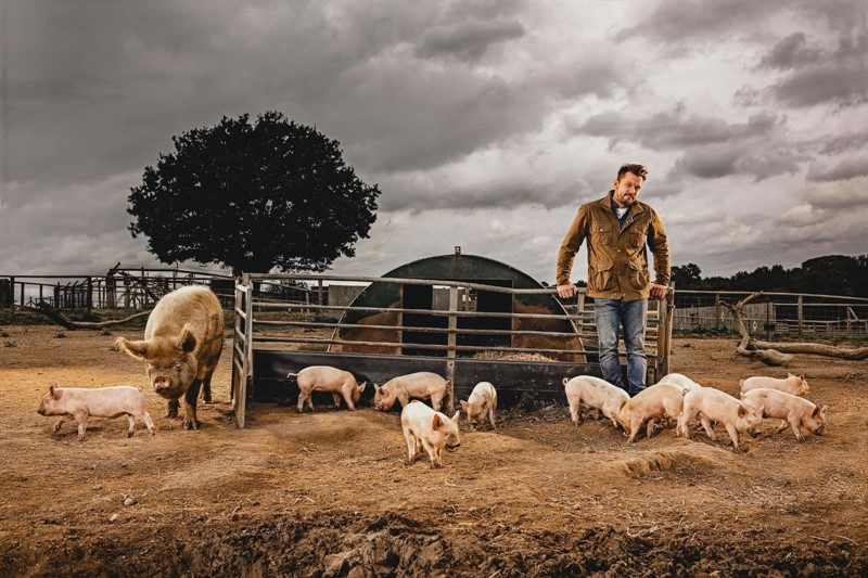 Jimmy's Farm runs breeding programmes which help towards the survival of UK rare breeds