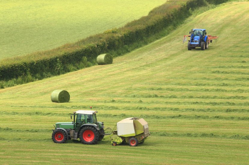 The free support will be available from August and any farmer currently in receipt of BPS is eligible to apply