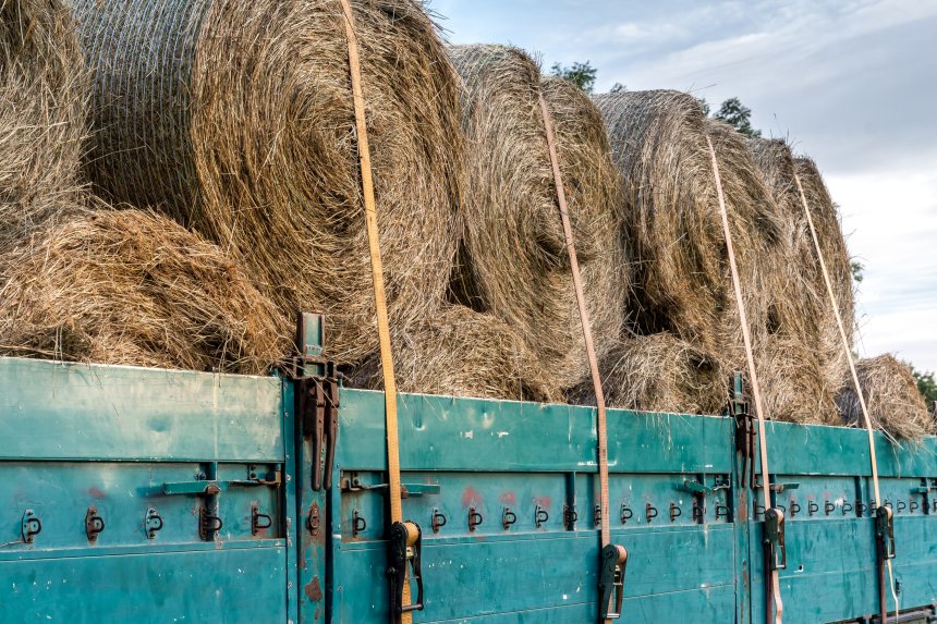 41 people lost their lives on British farms over the past year, 18 more than the previous year, new figures show