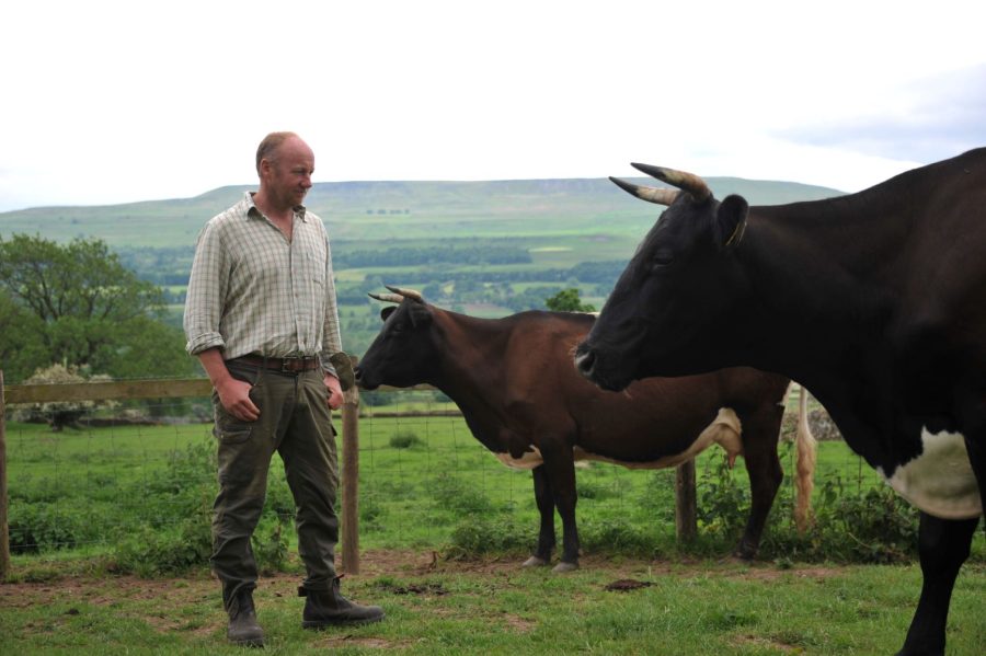 Stuart Raw will buy a bull and build up the herd, which is on the red priority list of the Rare Breeds Survival Trust