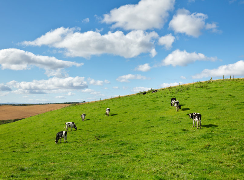 The dairy industry is an important part of southern Scotland's economy, as well as Cumbria's