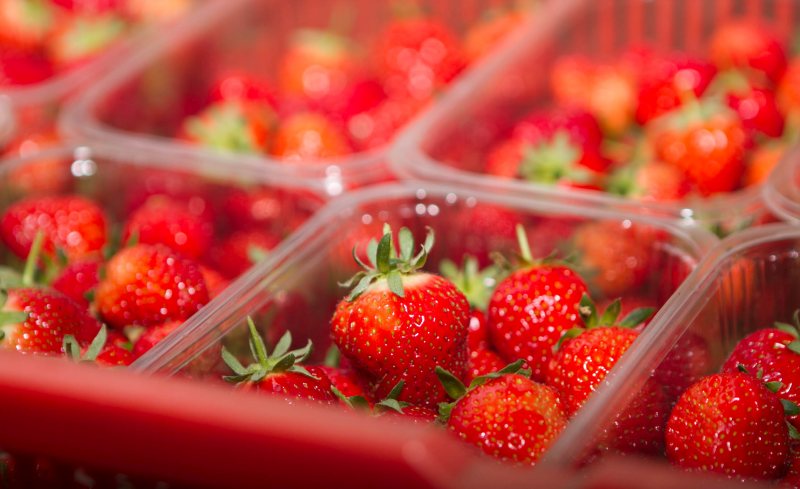 The berry brand will be the first in the UK to switch to punnets made from 100% recycled materials