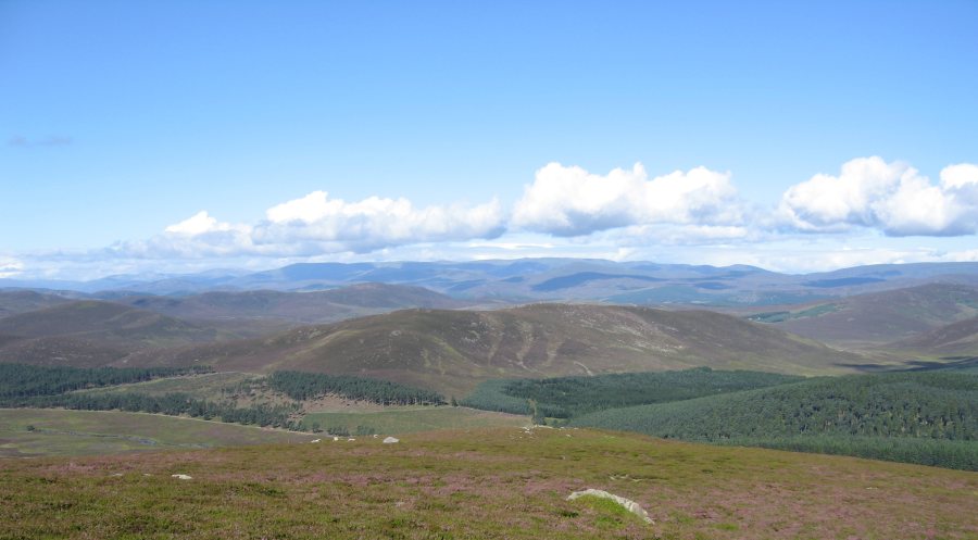 Glenmuick is a traditional mixed highland estate offering agricultural, sporting, tourism and housing opportunities