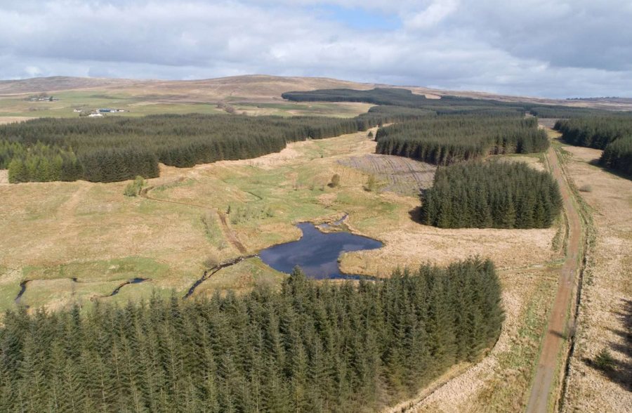 The land holding extends to over 2,000 acres in total, 569 of which is farmland (Photo: Savills)