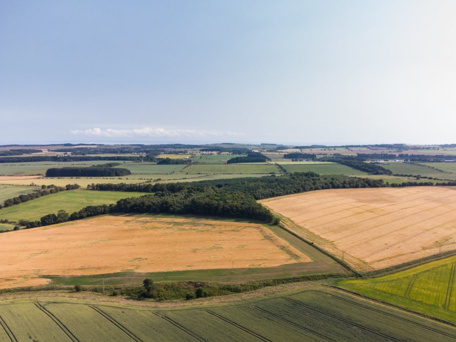 Scottish arable land for sale offers 'wealth of advantages' FarmingUK