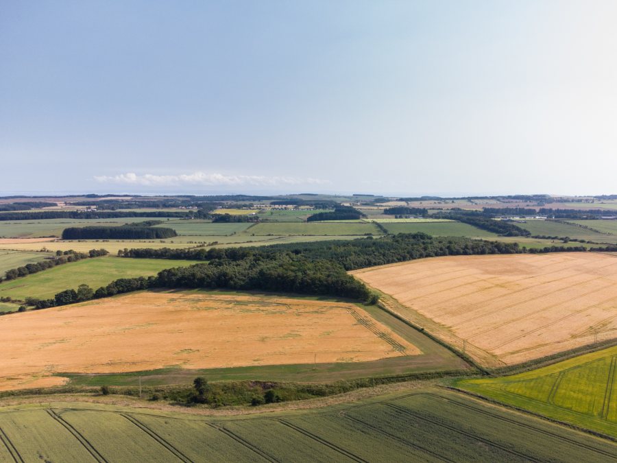 The block of land consists of arable, ploughable pasture and amenity woodland