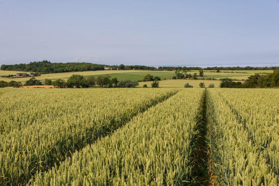 Galbraith said the landholding provided a 'wealth of advantages' for the buyer