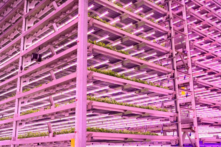 Vertical farming could provide Scotland with a way to make better use of its land, the Scottish government says