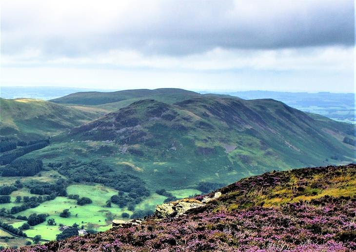 The companies behind the purchase want to promote agroforestry on Low Fell