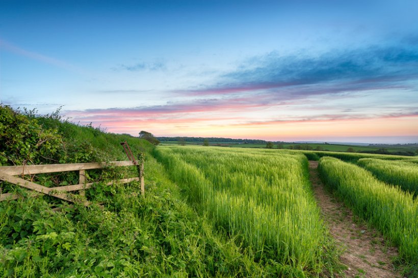 The Tenant Farmers Association (TFA) says there has been increasing reports of bullying tactics across the board