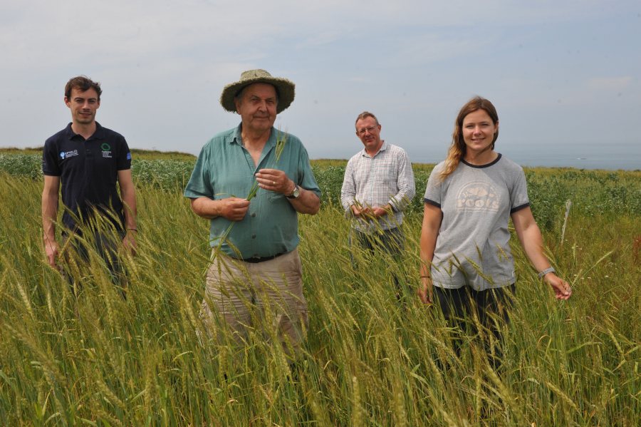 One of the trial farms, Caerhys, near St Davids, recently allowed growers to see side-by-side comparisons