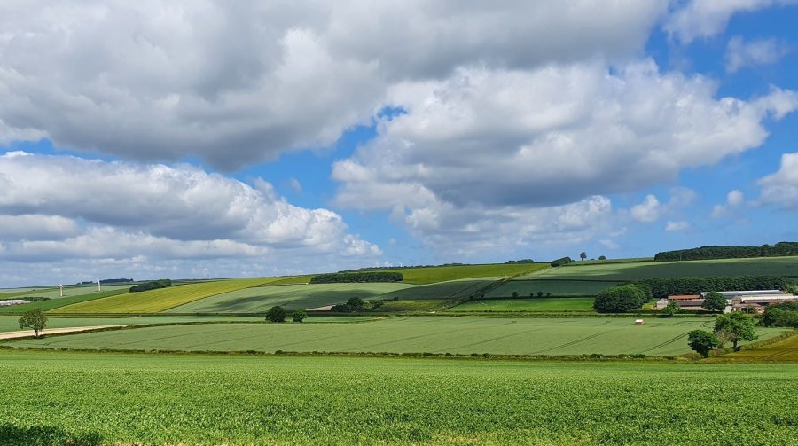 The farmers aim to sequester atmospheric carbon and improve their land's capacity to hold water