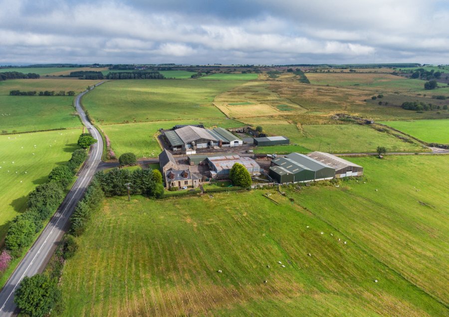 Over the past 20 years, the farm has been centred on a mixed livestock and sheep enterprise