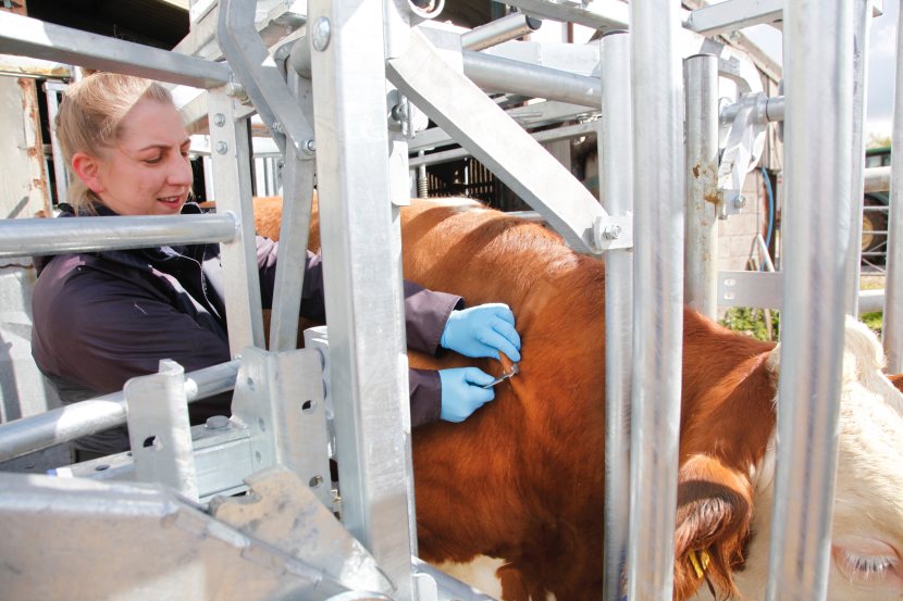 Veterinary practices are still looking to recruit non-vets to train as Approved Tuberculin Testers for cattle