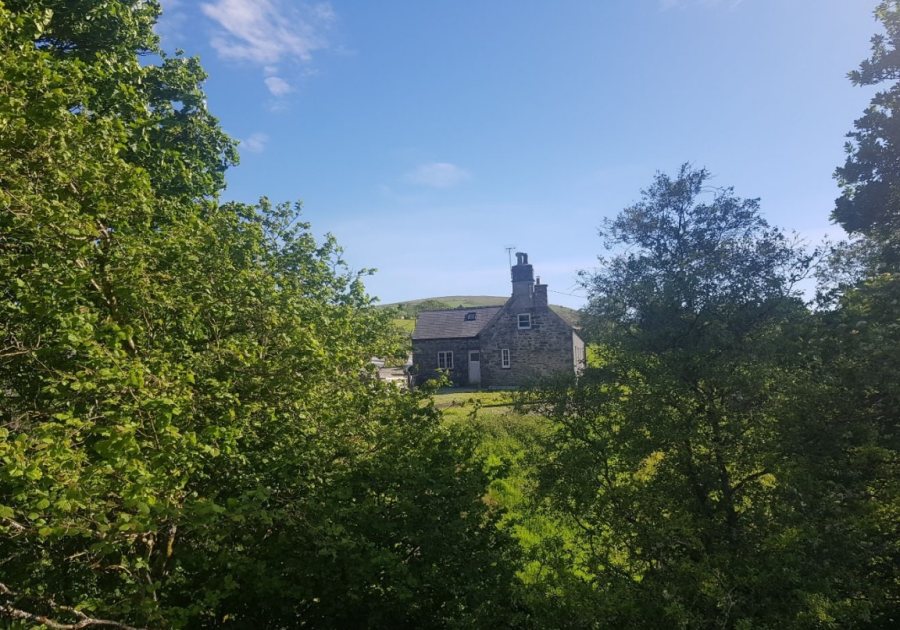 The farm has been run as a sheep enterprise for a number of years (Photo: National Trust)