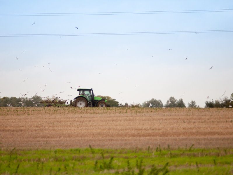 The average age of a farmer in the UK is 58, meaning there are many working the land past retirement age