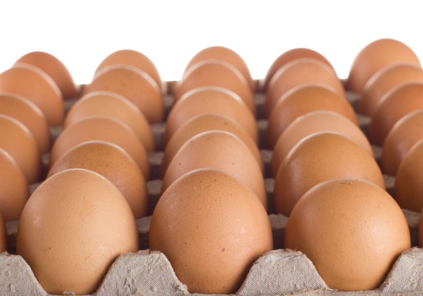 The GCAW is looking into how the food industry can increase supplies of cage-free egg products