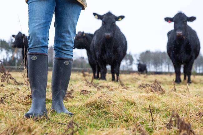 The sale of 'imperfect' boots have raised over £28,000 to help farming families in need of support