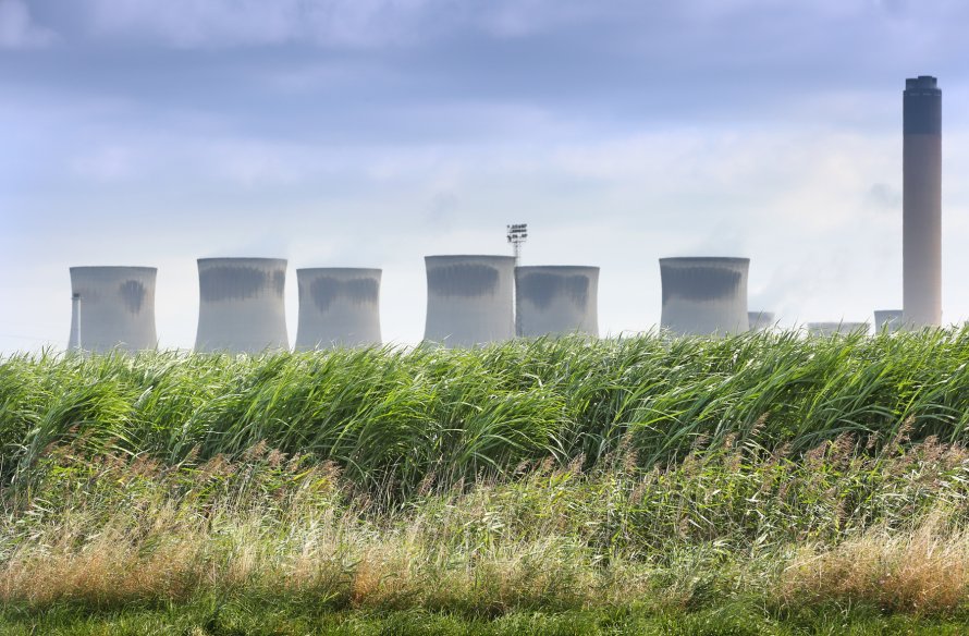 Crops such as miscanthus are typically densely planted, high yielding species grown solely for energy production