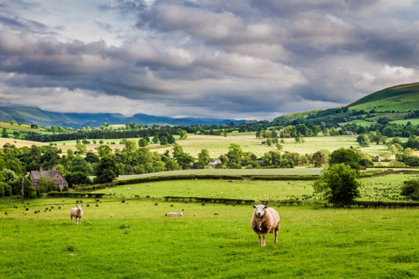 The new Agriculture & Land Use Alliance (ALA) will host a series of events in the run up to COP26