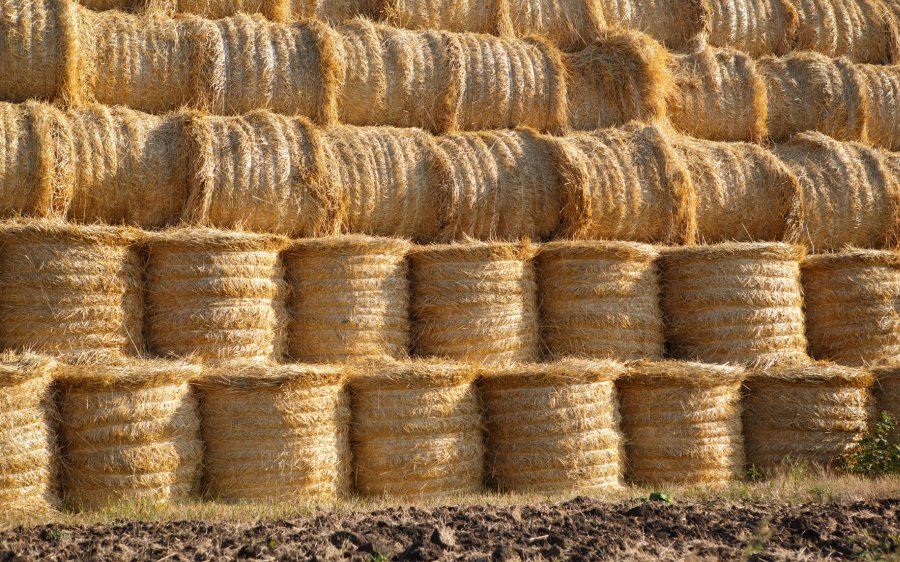 If stack limits are contravened, such as being too close together, farmers face significant shortfalls