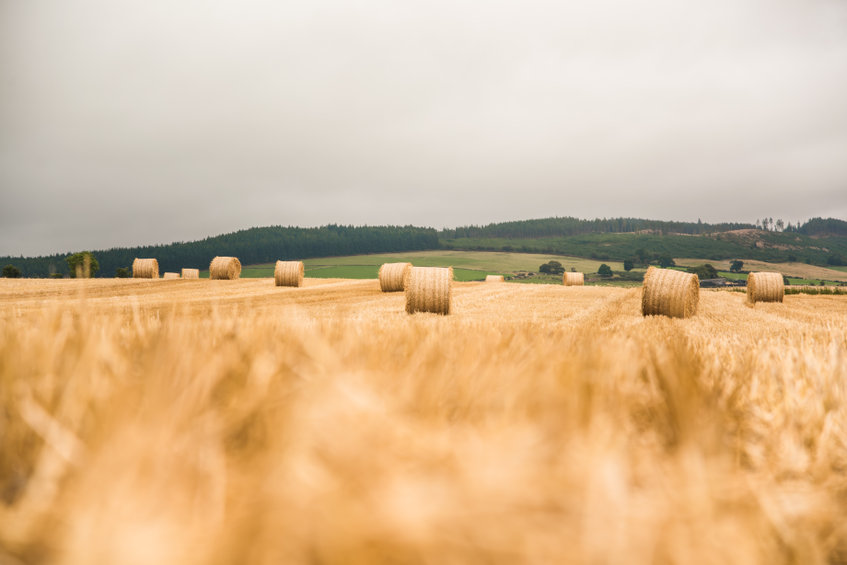 The survey's results show that over half of farm tenants were satisfied with Scotland's rent review process