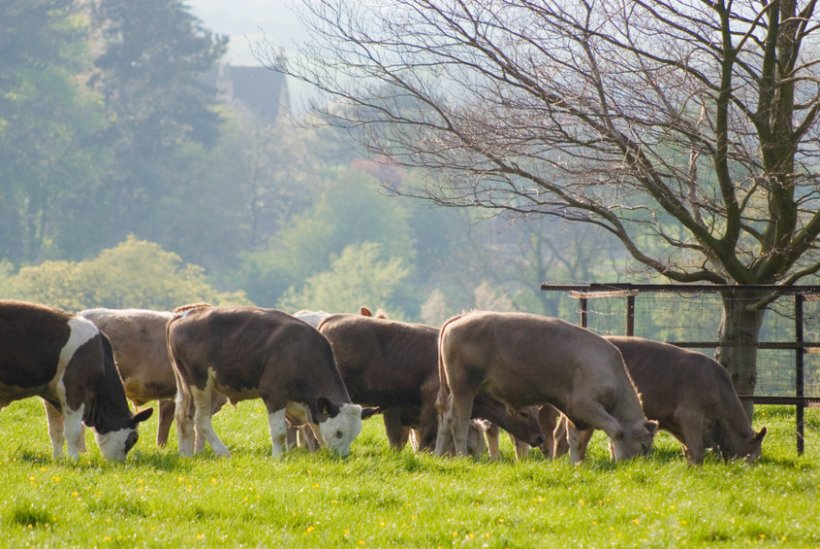 Those with an interest in the rural community and climate change are being encouraged to join the conversation