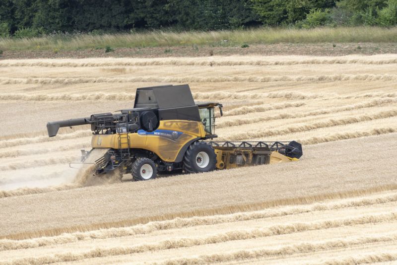 Defra has released the first estimate of the quantity of wheat and barley produced in the UK from the 2021 harvest