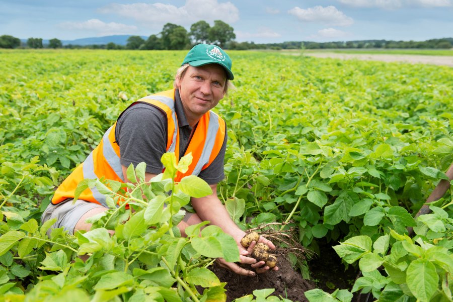 Nick Taylor has reduced the management time invested in producing his crops by more than a quarter