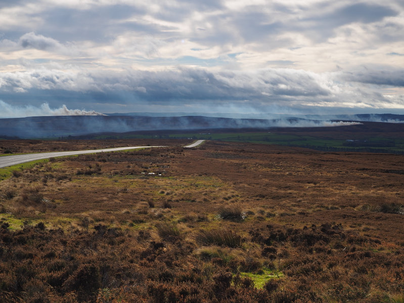 The judicial review had sought to disrupt the Heather and Grass Burning (England) Regulations 2021