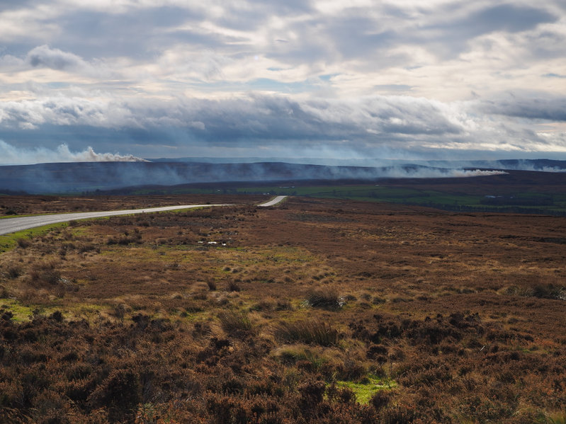 The judicial review had sought to disrupt the Heather and Grass Burning (England) Regulations 2021