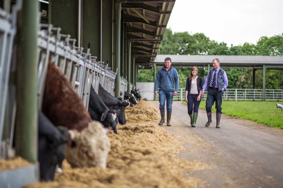The school will bring together the latest thinking on farming using sustainable methods